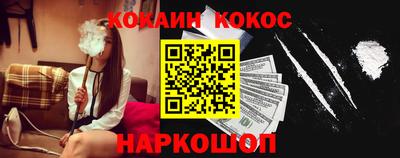 крисы Шебекино