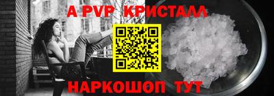 крисы Шебекино