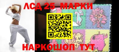 крисы Шебекино