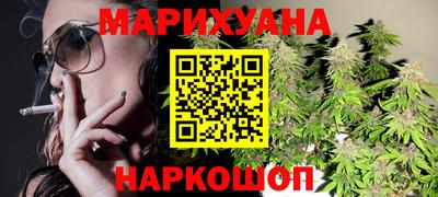 крисы Шебекино