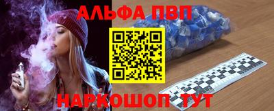 крисы Шебекино