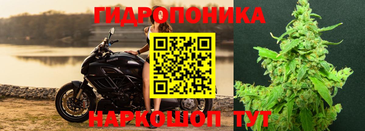 Шишки марихуана план  Вход с VPN  Амурск  Конопля THC 21%  Конопля индика 